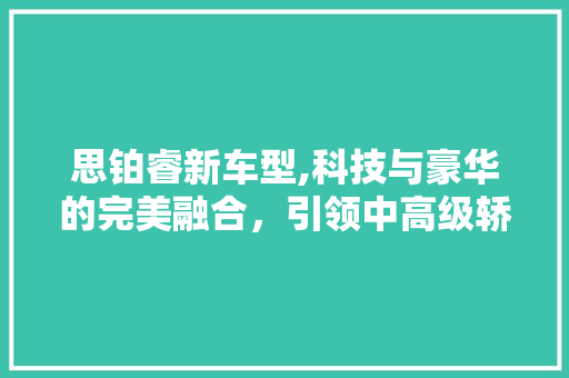思铂睿新车型,科技与豪华的完美融合，引领中高级轿车新潮流