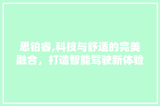 思铂睿,科技与舒适的完美融合，打造智能驾驶新体验