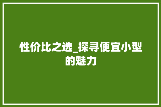 性价比之选_探寻便宜小型的魅力