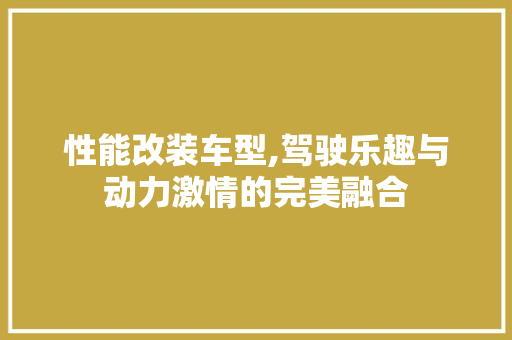 性能改装车型,驾驶乐趣与动力激情的完美融合