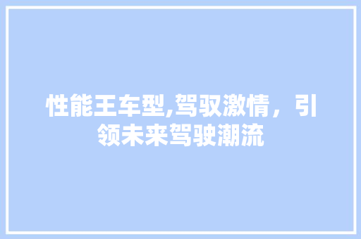 性能王车型,驾驭激情，引领未来驾驶潮流
