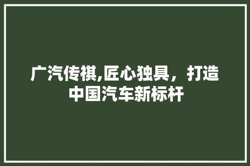广汽传祺,匠心独具，打造中国汽车新标杆 蓄电池配件