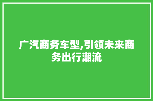 广汽商务车型,引领未来商务出行潮流