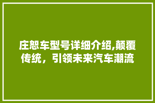 庄恕车型号详细介绍,颠覆传统，引领未来汽车潮流