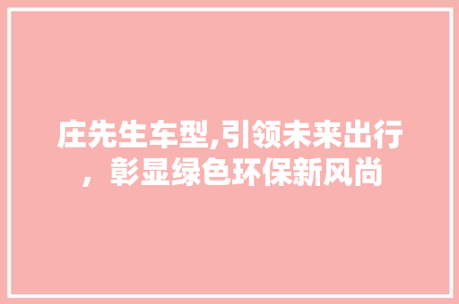 庄先生车型,引领未来出行，彰显绿色环保新风尚