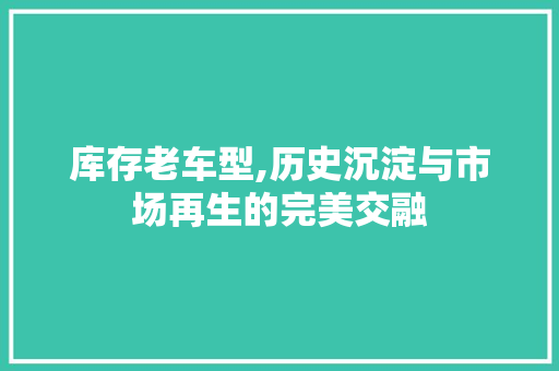 库存老车型,历史沉淀与市场再生的完美交融