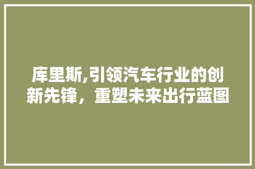 库里斯,引领汽车行业的创新先锋，重塑未来出行蓝图