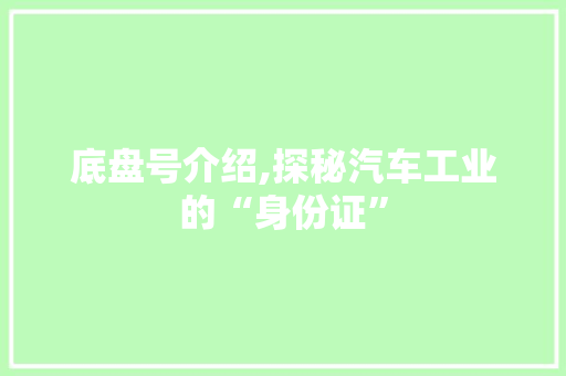 底盘号介绍,探秘汽车工业的“身份证”
