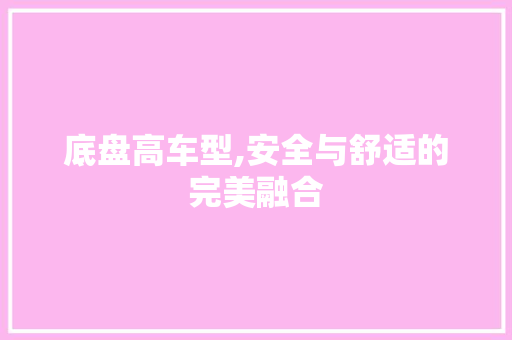 底盘高车型,安全与舒适的完美融合