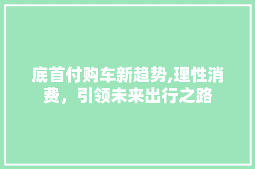 底首付购车新趋势,理性消费，引领未来出行之路