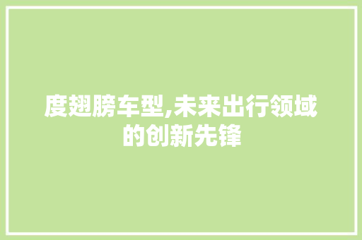 度翅膀车型,未来出行领域的创新先锋