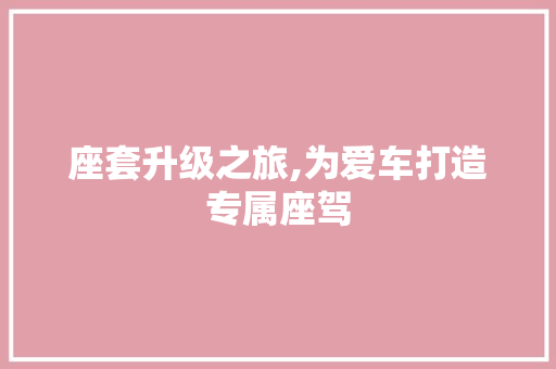 座套升级之旅,为爱车打造专属座驾