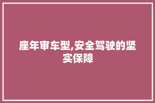 座年审车型,安全驾驶的坚实保障