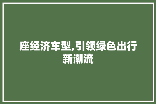 座经济车型,引领绿色出行新潮流