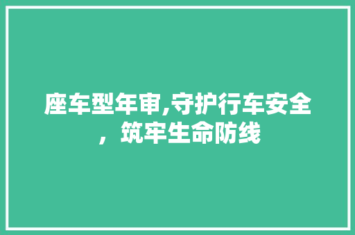 座车型年审,守护行车安全，筑牢生命防线