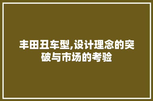 丰田丑车型,设计理念的突破与市场的考验