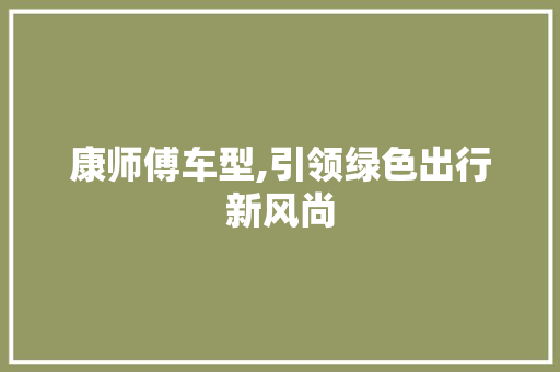 康师傅车型,引领绿色出行新风尚