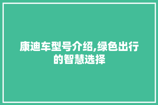 康迪车型号介绍,绿色出行的智慧选择