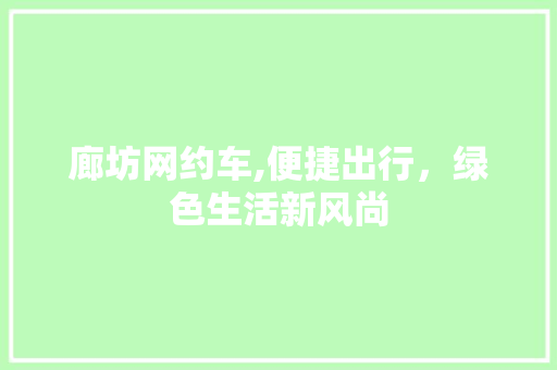 廊坊网约车,便捷出行，绿色生活新风尚