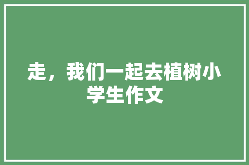 建安特车型,未来智能出行的引领者
