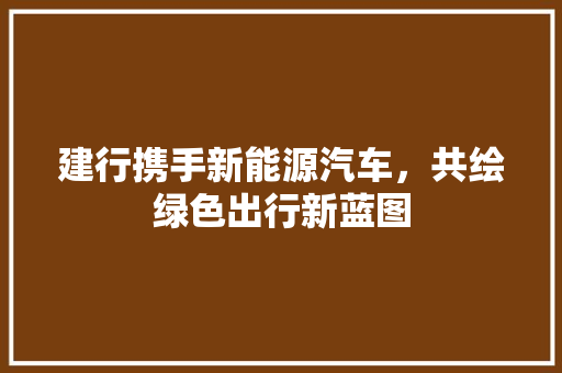 建行携手新能源汽车，共绘绿色出行新蓝图