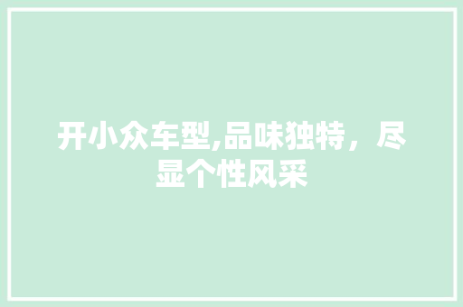 开小众车型,品味独特，尽显个性风采