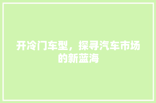 开冷门车型，探寻汽车市场的新蓝海