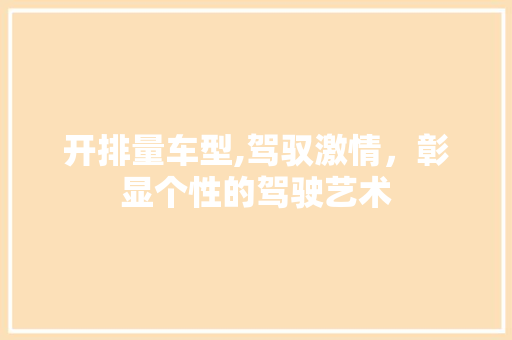 开排量车型,驾驭激情，彰显个性的驾驶艺术