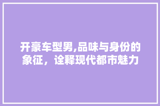 开豪车型男,品味与身份的象征，诠释现代都市魅力