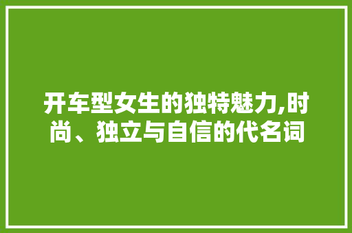 开车型女生的独特魅力,时尚、独立与自信的代名词