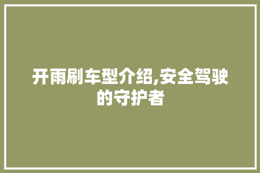 开雨刷车型介绍,安全驾驶的守护者