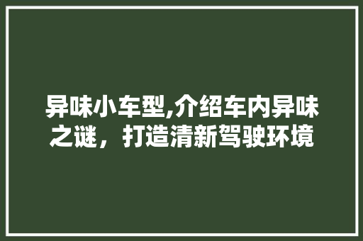 异味小车型,介绍车内异味之谜，打造清新驾驶环境