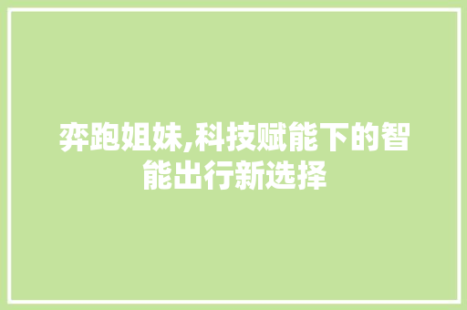 弈跑姐妹,科技赋能下的智能出行新选择