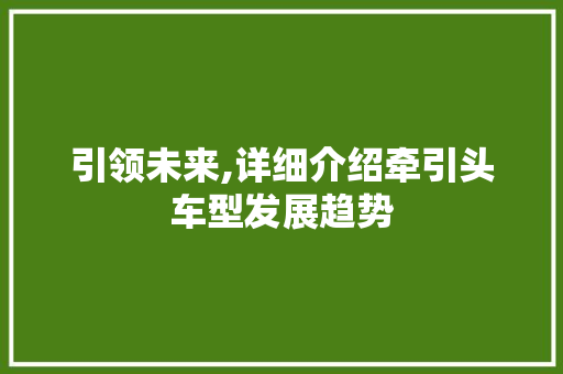引领未来,详细介绍牵引头车型发展趋势