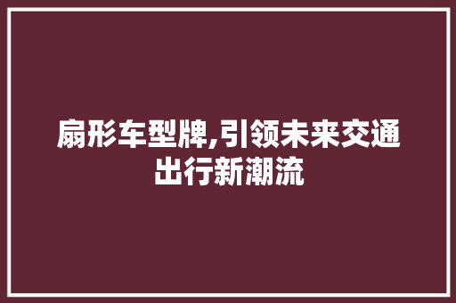 扇形车型牌,引领未来交通出行新潮流