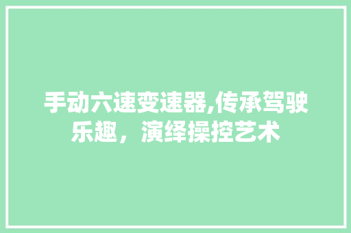 手动六速变速器,传承驾驶乐趣，演绎操控艺术