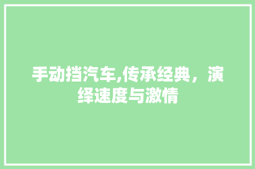 手动挡汽车,传承经典，演绎速度与激情