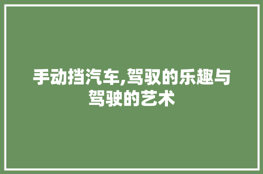 手动挡汽车,驾驭的乐趣与驾驶的艺术