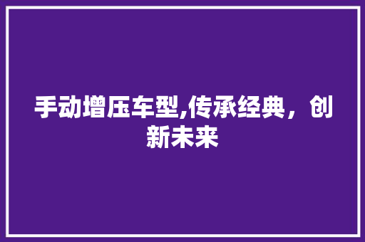 手动增压车型,传承经典，创新未来