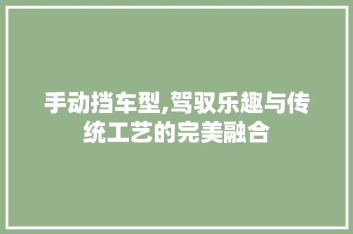 手动挡车型,驾驭乐趣与传统工艺的完美融合