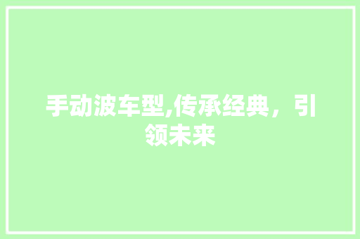 手动波车型,传承经典，引领未来