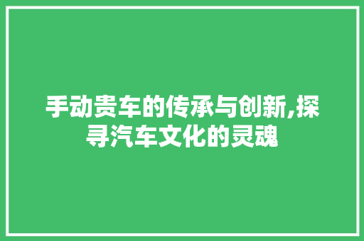 手动贵车的传承与创新,探寻汽车文化的灵魂