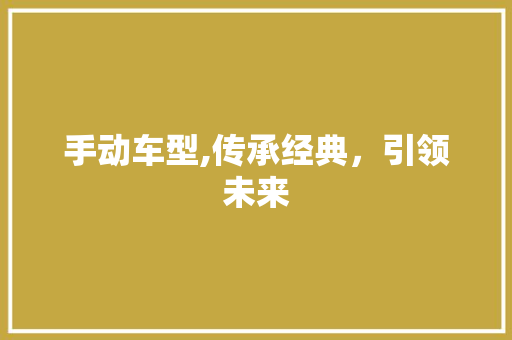 手动车型,传承经典，引领未来