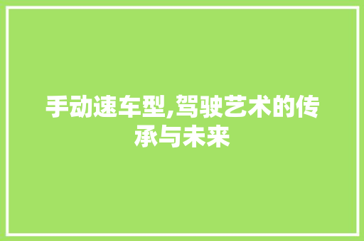 手动速车型,驾驶艺术的传承与未来