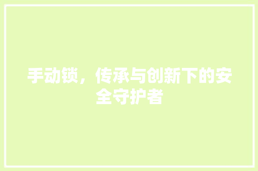 手动锁，传承与创新下的安全守护者