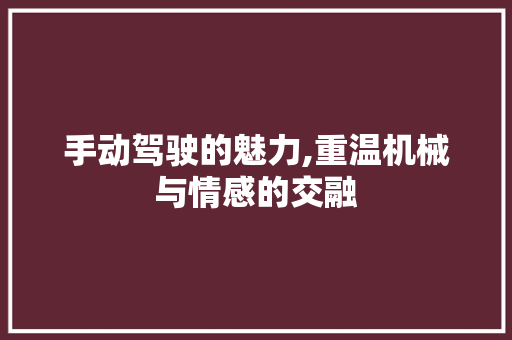 手动驾驶的魅力,重温机械与情感的交融
