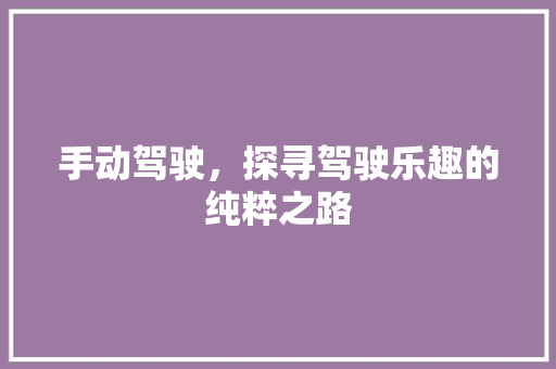 手动驾驶，探寻驾驶乐趣的纯粹之路