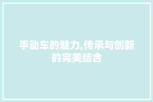 手动车的魅力,传承与创新的完美结合
