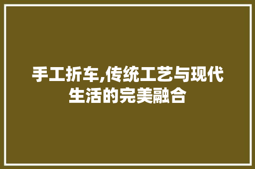 手工折车,传统工艺与现代生活的完美融合