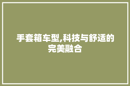 手套箱车型,科技与舒适的完美融合